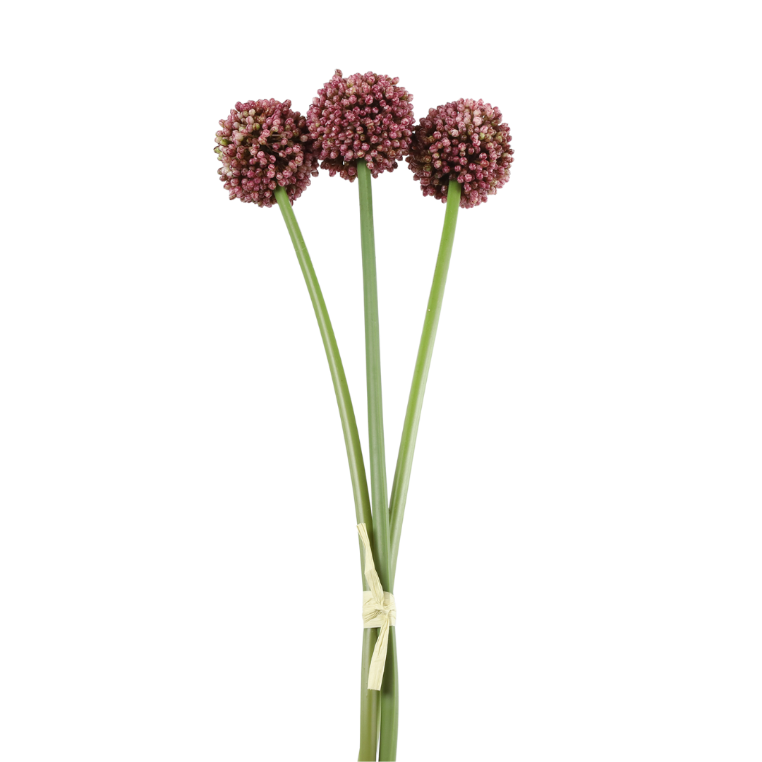 Allium bundt Fuchsia H55 cm – Moving Flowers Allium bundt Fuchsia H55 cm - Moving Flowers