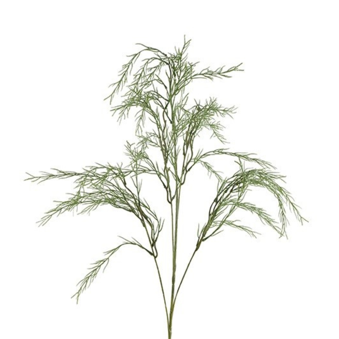 Asparagus Grøn H116 cm – Moving Flowers Asparagus Grøn H116 cm - Moving Flowers