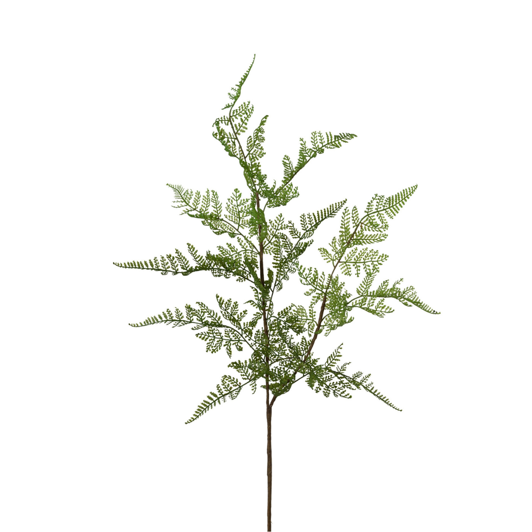 Bregne blad Grøn H81 cm – Moving Flowers Bregne blad Grøn H81 cm - Moving Flowers