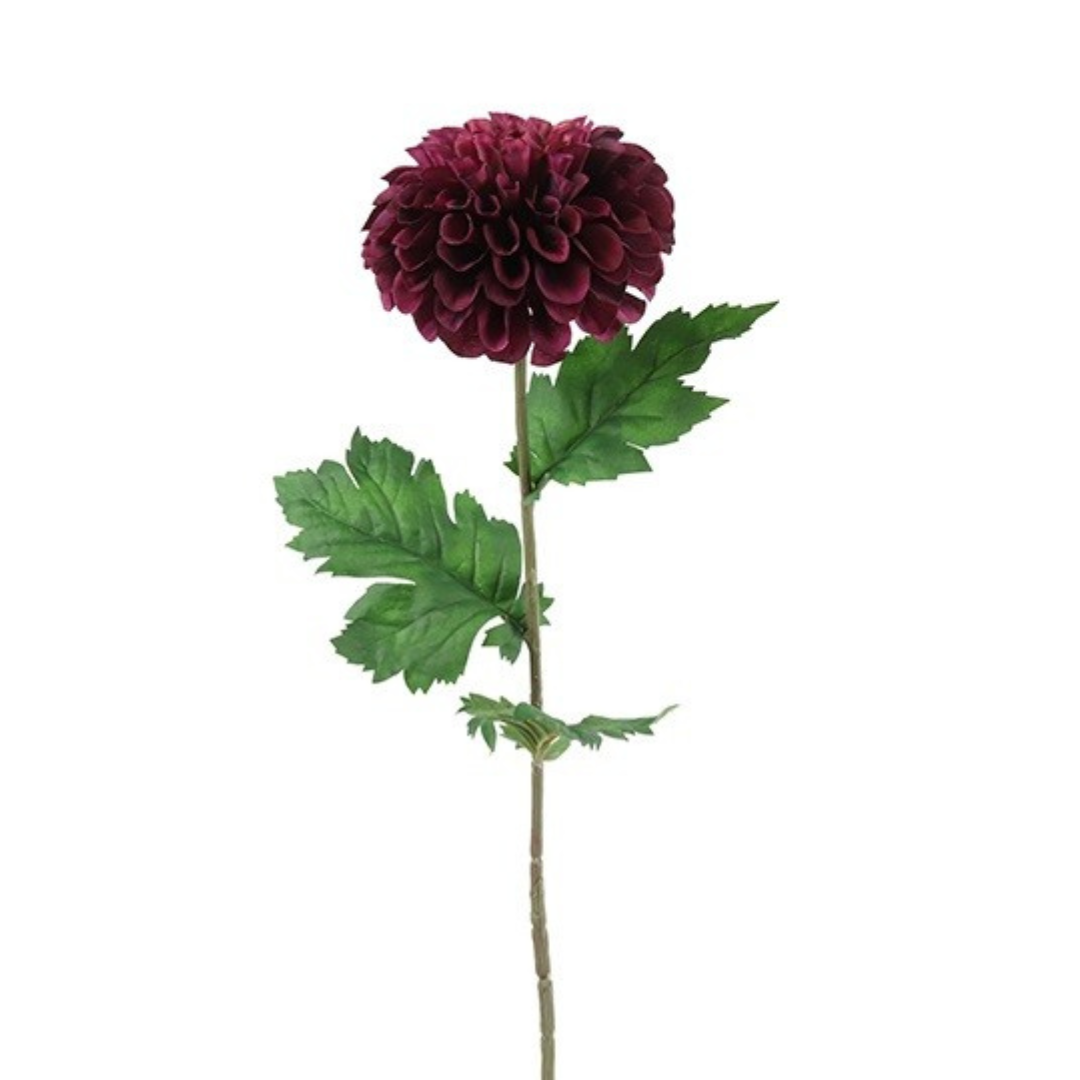 Dahlia Mørk Bordeaux H75 cm- Moving Flowers Dahlia Mørk Bordeaux H75 cm- Moving Flowers