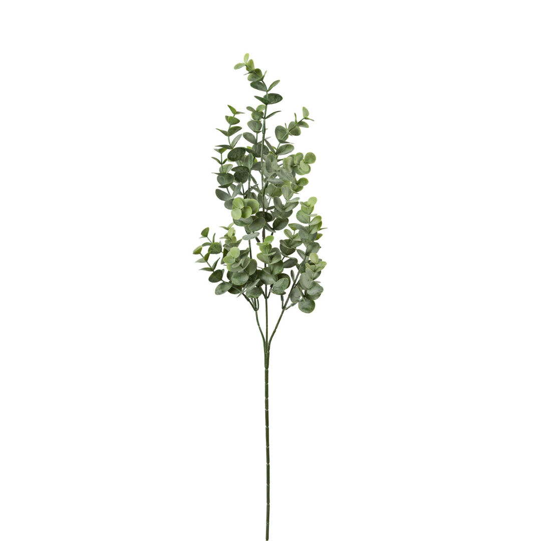 Eucalypthus gren Grøn H75 cm – Moving Flowers Eucalypthus gren Grøn H75 cm - Moving Flowers