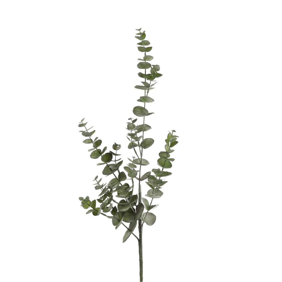 Eucalypthus gren Støvet Grøn H75 cm – Moving Flowers Eucalypthus gren Støvet Grøn H75 cm - Moving Flowers