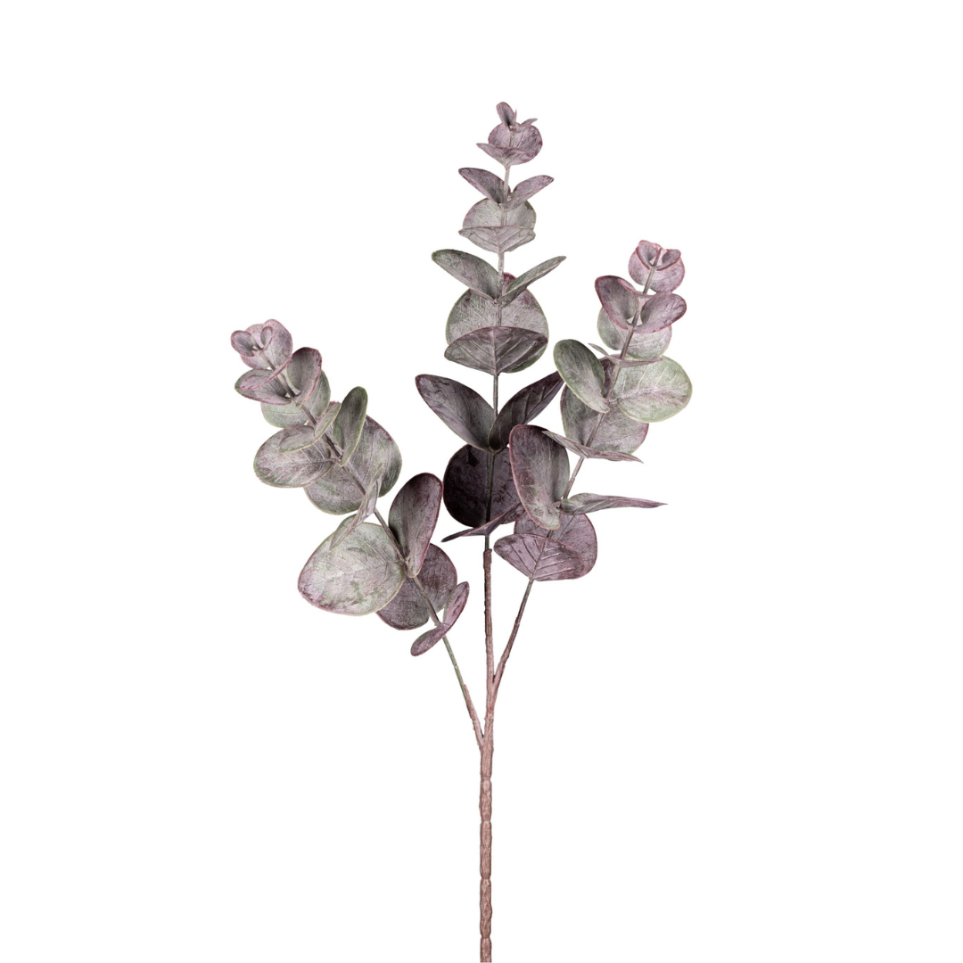 Eucalyptus Aubergine H50 cm – Moving Flowers Eucalyptus Aubergine H50 cm - Moving Flowers