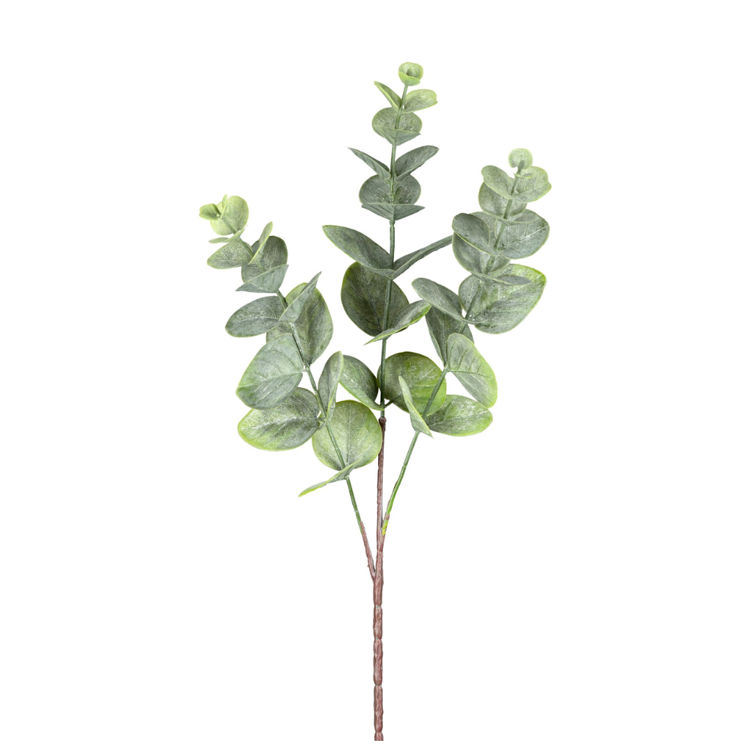 Eucalyptus, Støvet Grøn H50 cm – Moving Flowers Eucalyptus, Støvet Grøn H50 cm - Moving Flowers