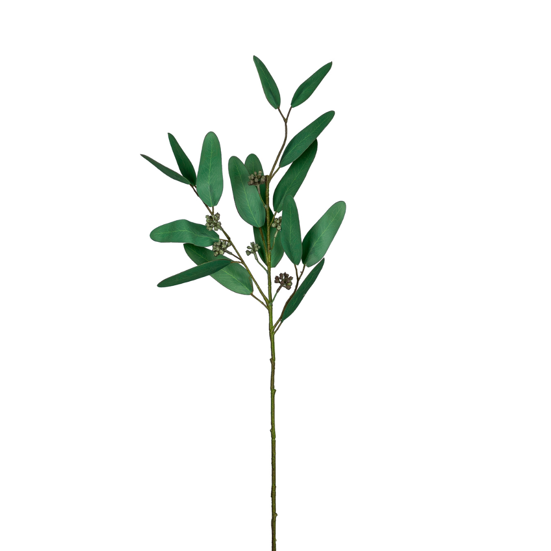 Eucalyptus m bær Grøn H66 cm – Moving Flowers Eucalyptus m bær Grøn H66 cm - Moving Flowers