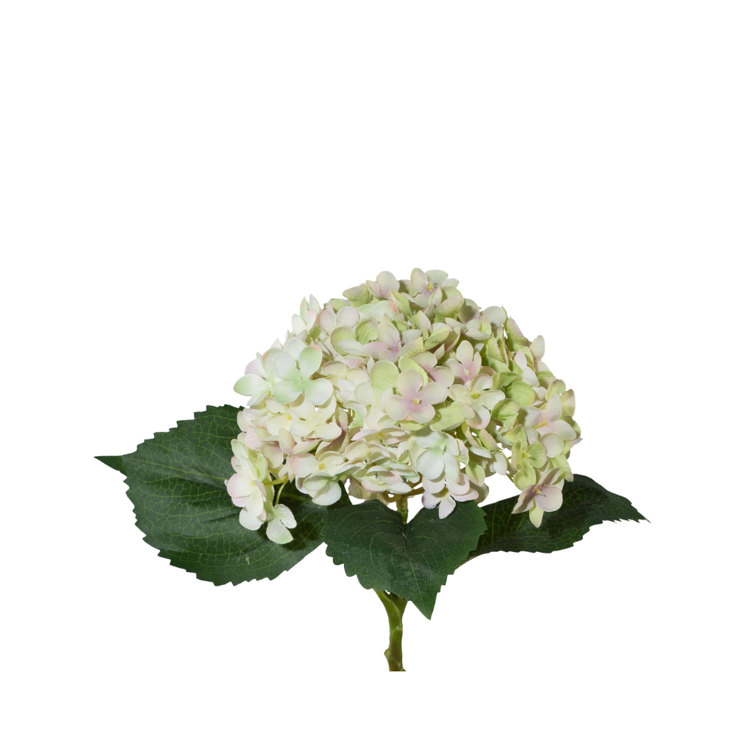 Hortensia Grøn-Lysrosa H53 cm – Moving Flowers Hortensia Grøn-Lysrosa H53 cm - Moving Flowers