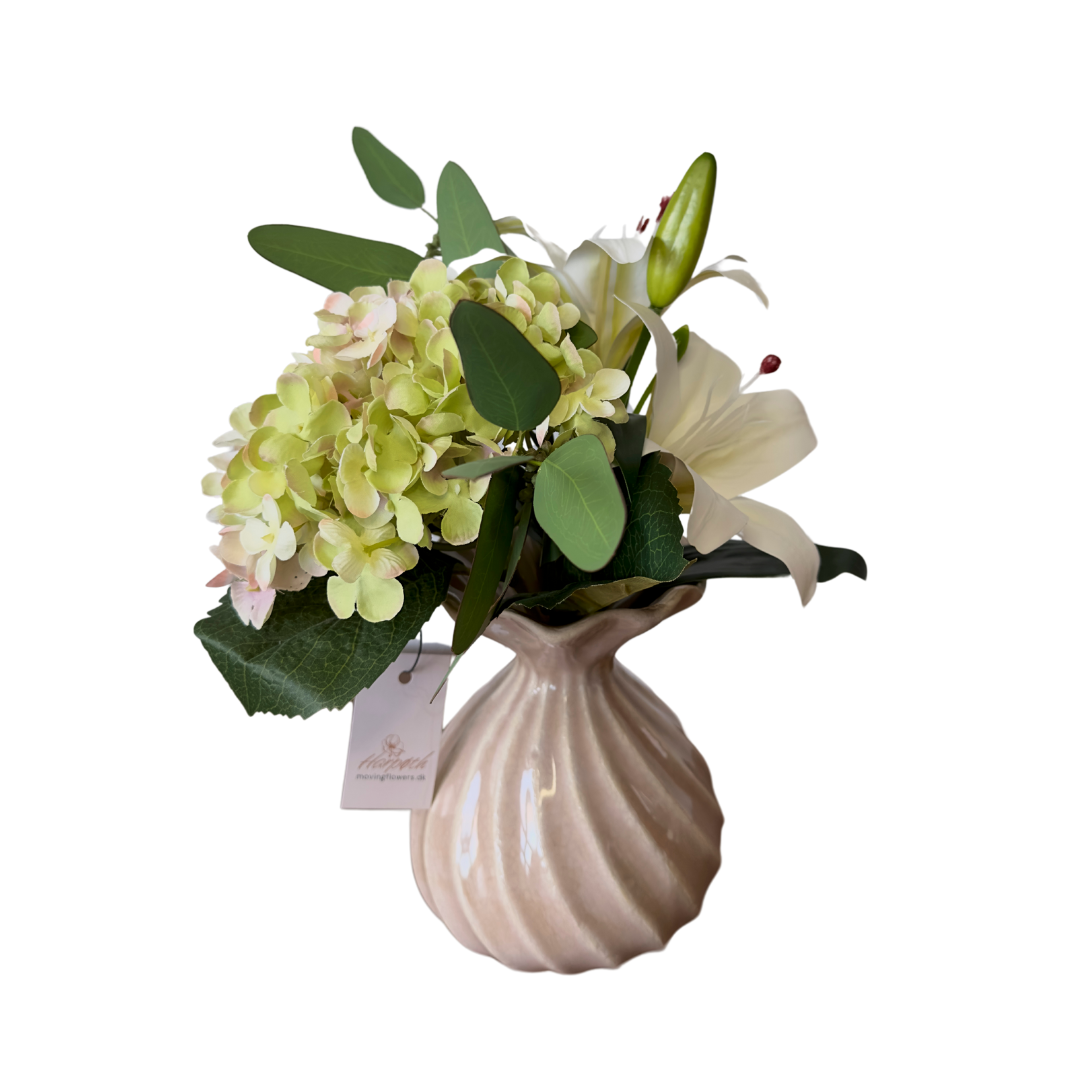 Hortensia lilje Hortensia lilje