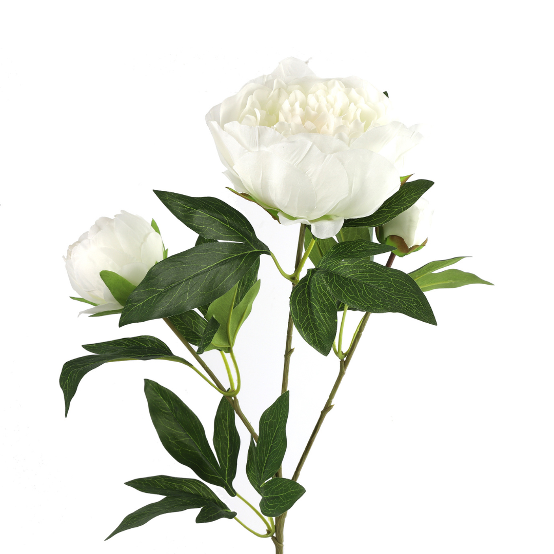Peony Hvid H73 cm – Moving Flowers Peony Hvid H73 cm - Moving Flowers