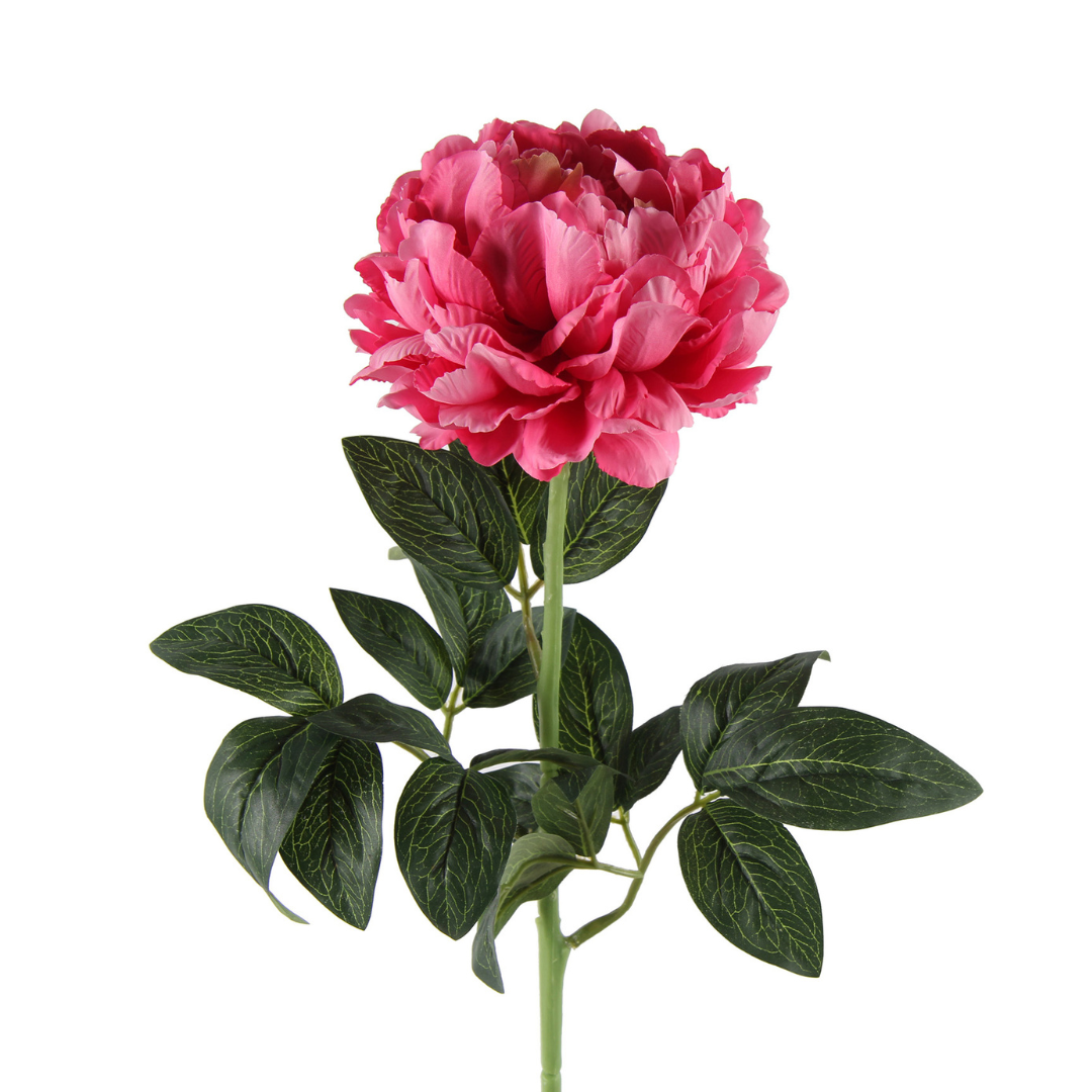 Peony Pink H70 cm – Moving Flowers Peony Pink H70 cm - Moving Flowers