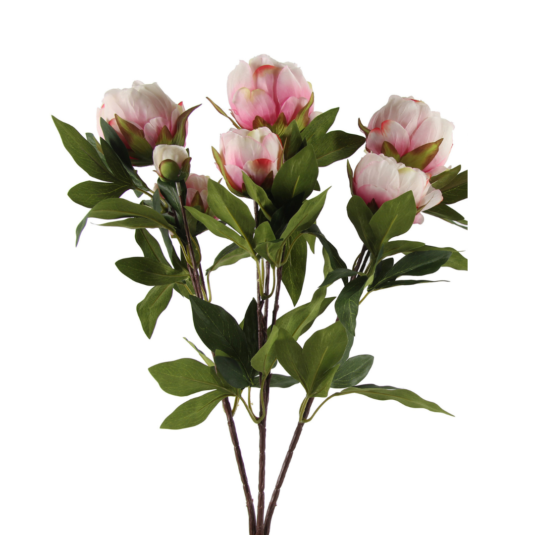 Peony buket Rosa H75 cm – Moving Flowers Peony buket Rosa H75 cm - Moving Flowers