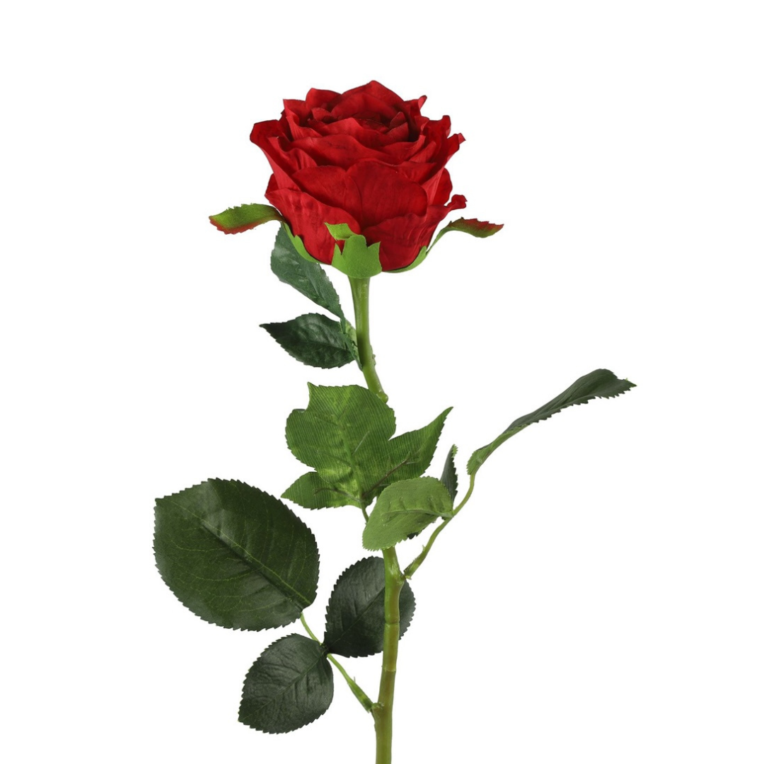 Rose Rød H70 cm – Moving Flowers Rose Rød H70 cm - Moving Flowers